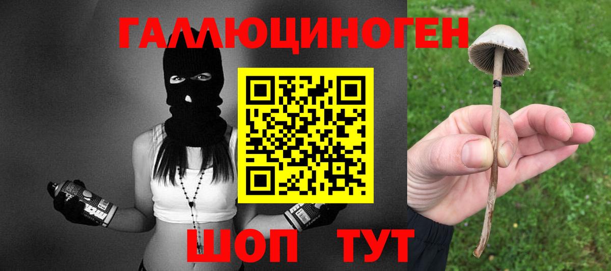 Псилоцибиновые грибы прущие грибы  Вход с VPN  Вышний Волочёк 